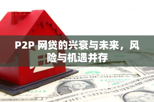 金平P2P 网贷的兴衰与未来，风险与机遇并存