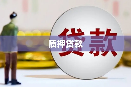 金平质押贷款
