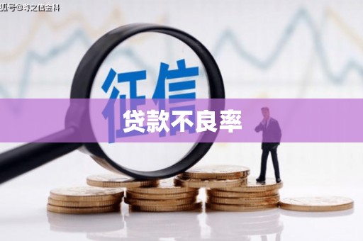 金平贷款不良率
