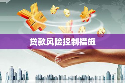 金平贷款风险控制措施