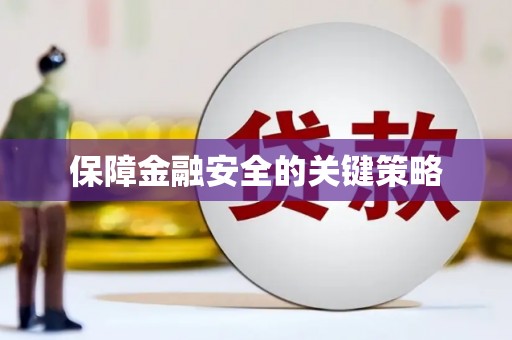 金平保障金融安全的关键策略