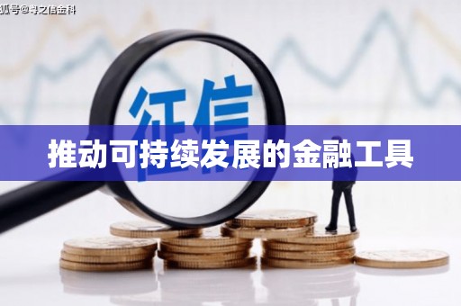 金平推动可持续发展的金融工具