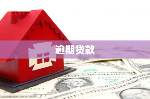 金平逾期贷款