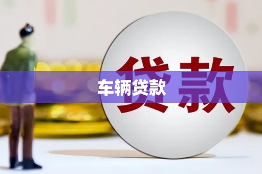 金平车辆贷款