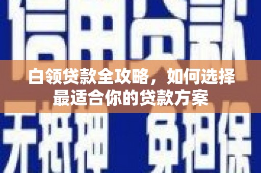 金平白领贷款全攻略，如何选择最适合你的贷款方案